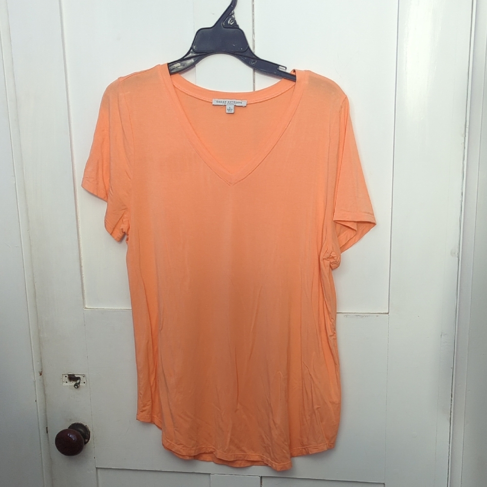 Green Envelope Los Angeles Short Sleeve V-neck Tee. Gently worn.